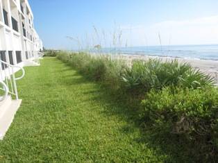 Beach View